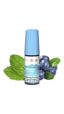 Flerbar Liquid - Blueberry Mint - 20mg/ml