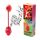 Amos Tastysounds Lollipop - Der Lollipop mit Musik - Get This Feeling(Kirsche) - 12er Display **NEUER TIKTOK TREND**
