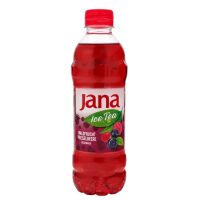 Jana - Ice Tea - Wald- u. Preiselbeeren 0,5l