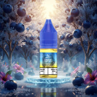 RandM Liquid - Blueberry Hibiscus Ice / 20mg/ml